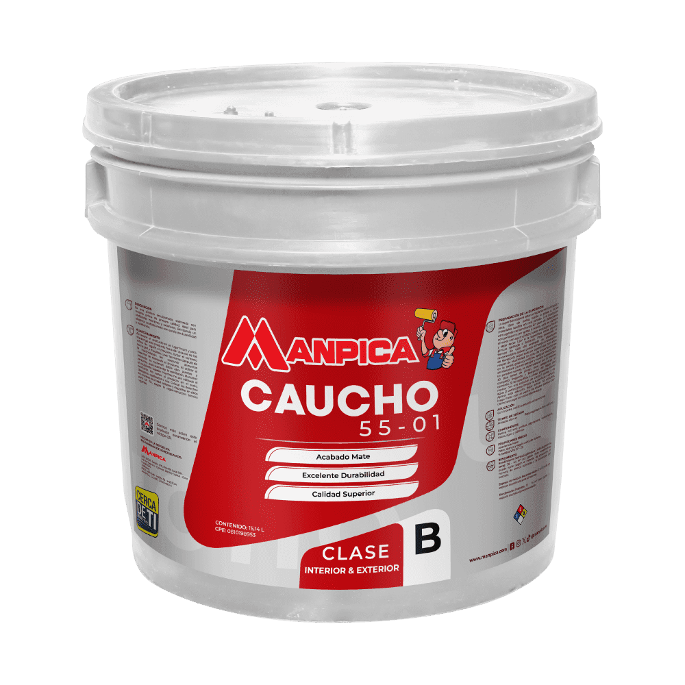 Pintura de Caucho B 55-01
